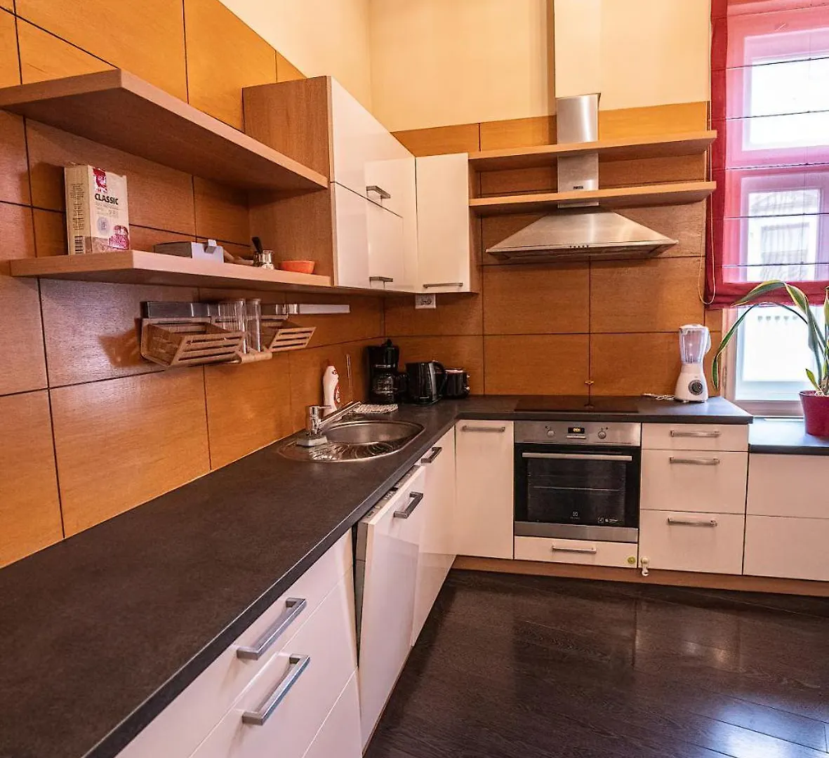 Kelemen Apartment Szeged Hungary
